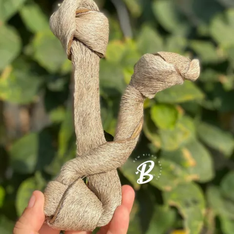 Pele de Boi Y - BeneBoi