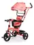 TRICICLO CON BARRAL CAPOTA Y LUZ 044 LOVE - comprar online
