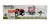 SET ANIMAL LIFE CAMIONETA 4X4 ISAKITO - tienda online