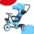 TRICICLO CON BARRAL CAPOTA Y LUZ 1870 BEBESIT - comprar online