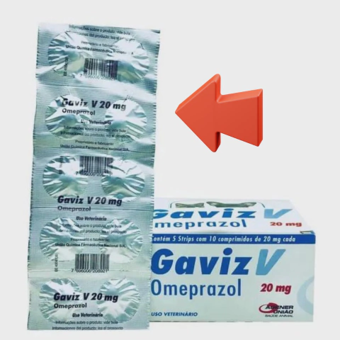 Gaviz Z 20Mg Gastroprotetor Cães e Gatos C/10 Comprimidos