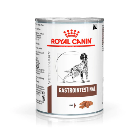 Ração Úmida Royal Canin 400g Gastrointestinal P/Cães Adultos