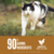 ORIJEN GATO ORIGINAL CAT - The Backyard Petshop