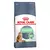 Royal Canin Gato Digestive Care