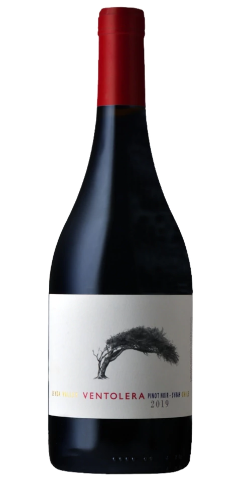 VINOS VENTOLERA - PINOT NOIR / SYRAH 2019 ( LEYDA VALLEY )