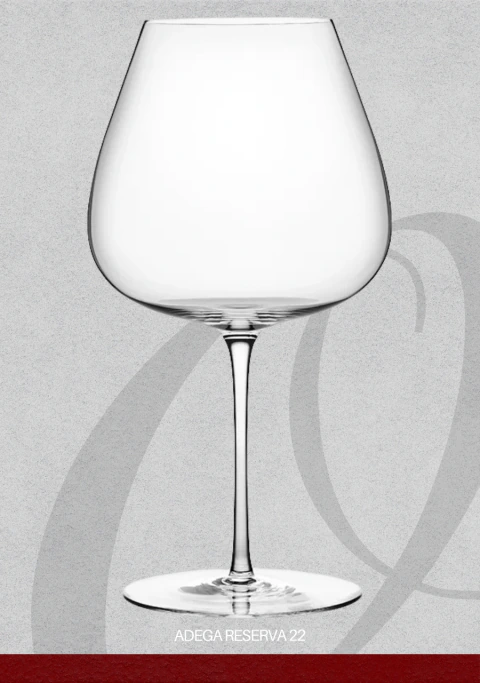 TANYNO GLASS - TAÇA BORGONHA ( 4UN )