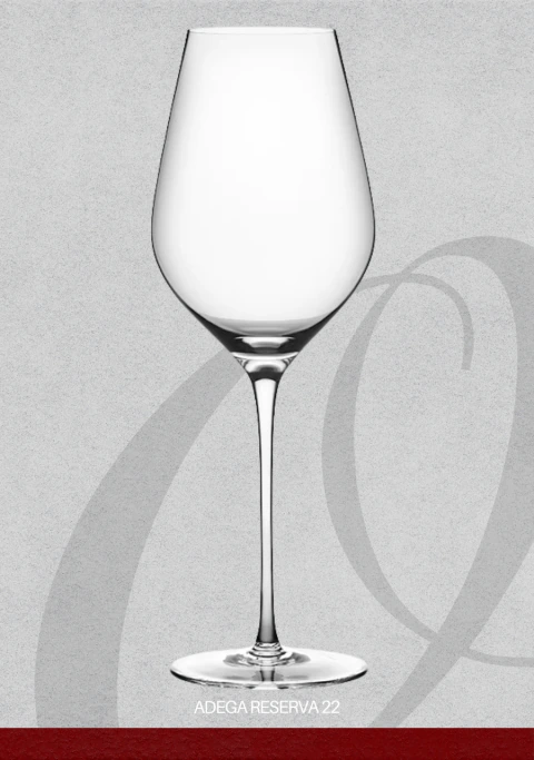 TANYNO GLASS - TAÇA CHAMPAGNE ( 4UN )