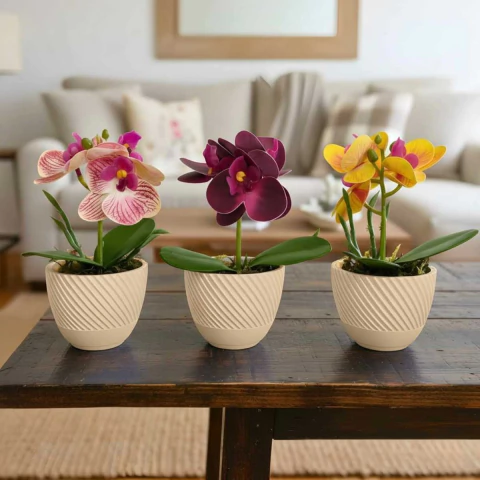 Kit 3 Vasos Nuage com arranjo mini Orquídea Artificial