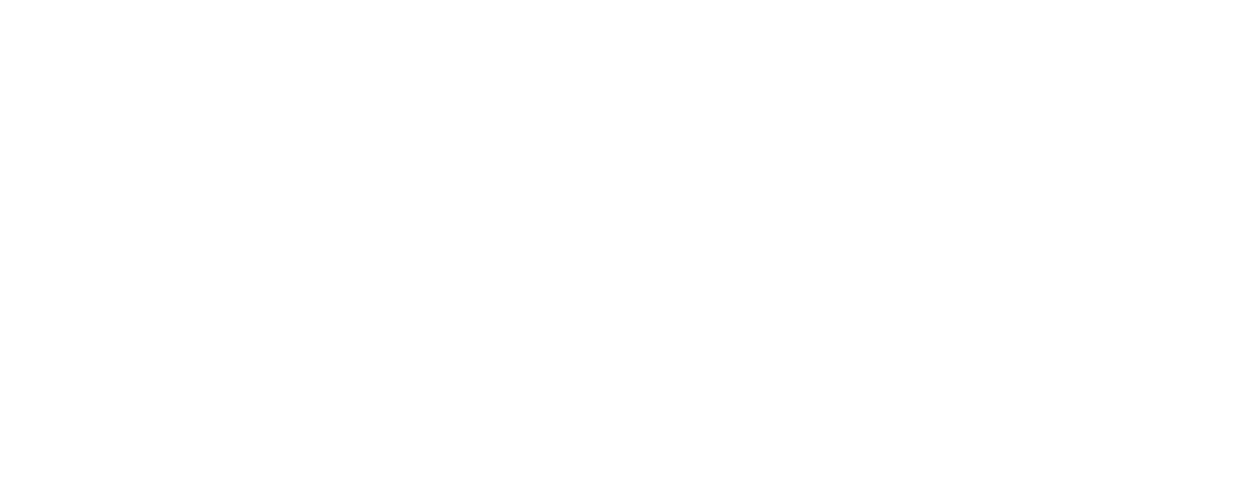 Magnéticas Store