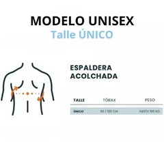 CORRECTOR POSTURAL ESCOLIOSIS en internet