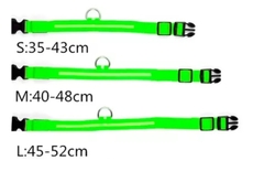 2x1 Shiny Pet ® Collar LED PARA PERROS Y GATOS