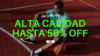 Banner ZenoMar