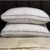 Almohada Plus Confort Cacharel Extra Suave Tradicional 70x40 - comprar online