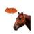 Cabresto Liso + Rédea Boots Horse