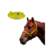 Cabresto Liso + Rédea Boots Horse na internet