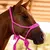 Cabresto Para Cavalo Trançado Boots Horse - loja online