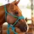 Imagem do Cabresto Para Cavalo Trançado Boots Horse