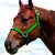 Cabresto Para Cavalo Liso Boots Horse - loja online