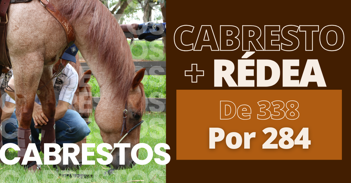 Carrossel 2