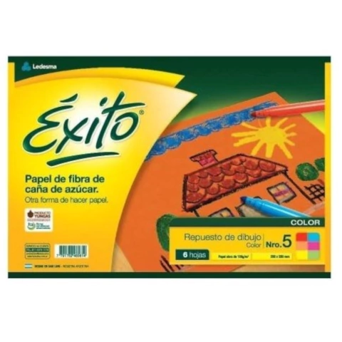 REPUESTO N 5 CANSON COLOR EXITO