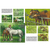 LIBRO LEONARDO 6 LOS CABALLOS - comprar online