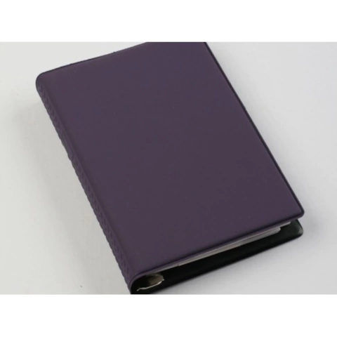 AGENDA 2026 ARIES CON ARO GOMA