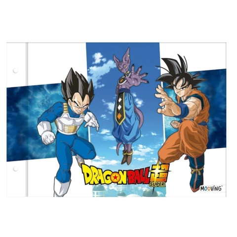 DRAGON BALL CARPETA N 5