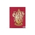 HARRY POTTER CARPETA N 3 2 TAPAS