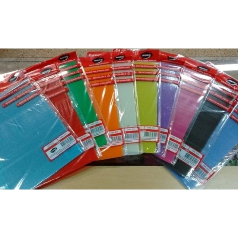 CARPETA A4 2 TAPAS A4 PLASTICO RIDEO TRANSPARENTES