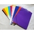 CARPETA PLASTICO 3 SOLAPAS A4 RIDEO PASTEL SPRING
