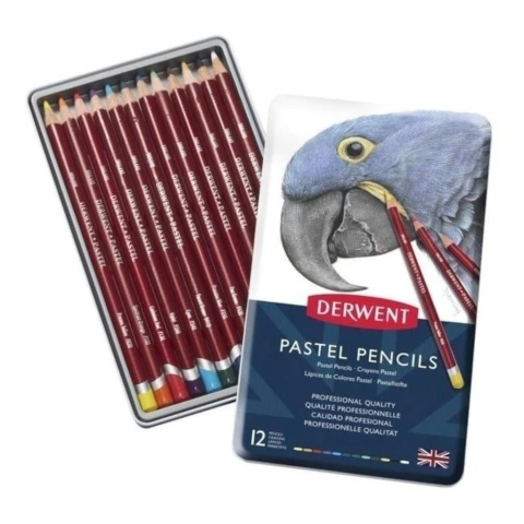 LAPIZ COLOR DERWENT PASTEL X 12