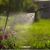 Fumigador Manual 12L LUSQTOFF en internet