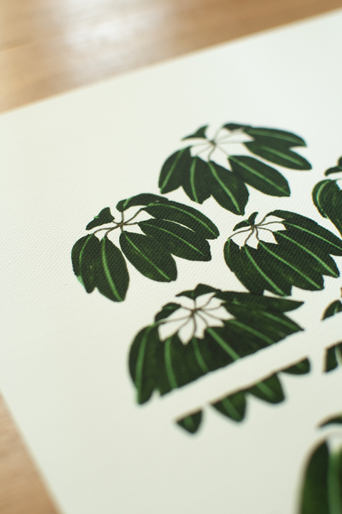 [A4] Canva Natureza da mente (sem moldura)