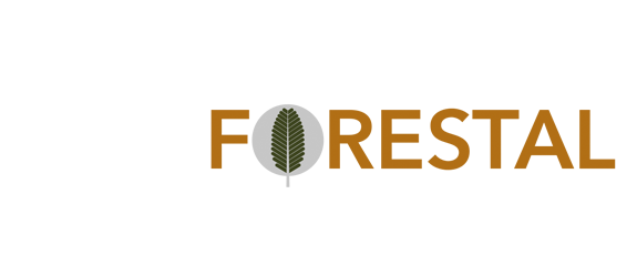 Oiz Forestal