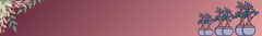 Banner da categoria Matrizes