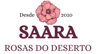 SAARA COMERCIO LTDA