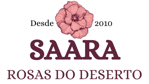 SAARA COMERCIO LTDA