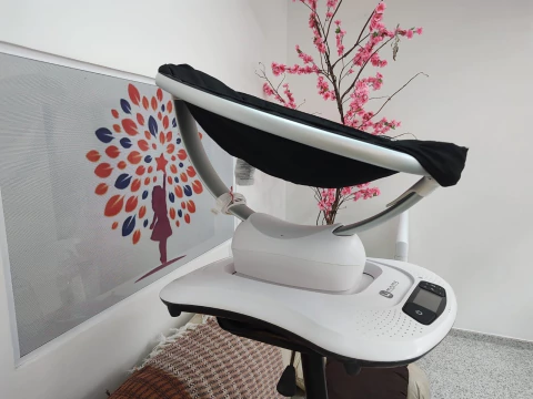 Venda MamaRoo Model:1037 4.0 – Semi Novo - comprar online
