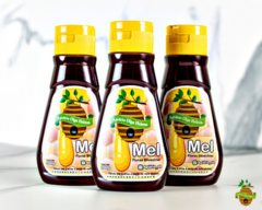 Mel Silvestre 200g - comprar online