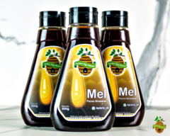 Mel Silvestre 500g - comprar online