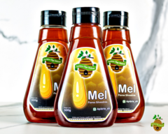 Mel Silvestre 500g - Apiário OH