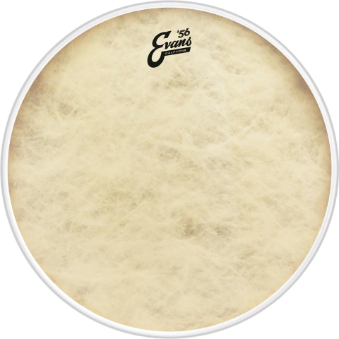 PARCHE EVANS 22 MOD. BD22GB4CT
