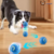 Diversion Interactiva para mascotas - comprar online