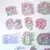 Imagen de Set De 40 Stickers Pet Kawaii Xixi Holográfico Cute Girl "JARDIN"