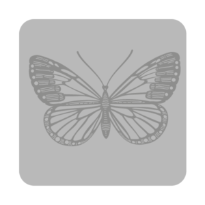 Sello Decorativo Goma Eva Eq 10x10cm Sobre Relieve Modelo 2200 - comprar online