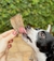 Petisco Natural Rabinho de Peixe 60g - Pet Bem - Happy Pets