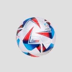 Pelota AFA Argentum 24 Pro + Pelota Qatar Al Hilm 22 + Pelota Copa America Cumbre 24 | Oferta UNICA 3x1! - tienda online