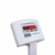 Balança Digital W200 200kg Farmácia - Welmy - comprar online