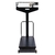 Balança Mecânica De Plataforma 300kg 104ch - Welmy - comprar online