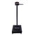 Balança Antropométrica W300A 300kg Preta - Welmy - comprar online